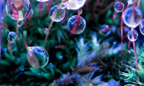 三好学生评优个人事迹材料五篇