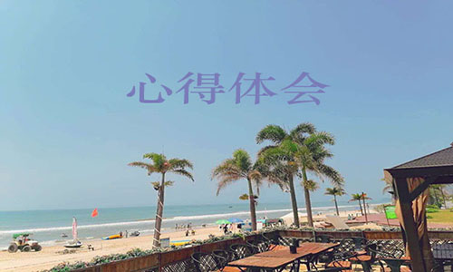 学习感动中国人物张桂梅事迹个人心得