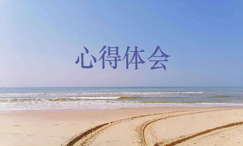 2020年感动中国十大人物事迹观后有感心得