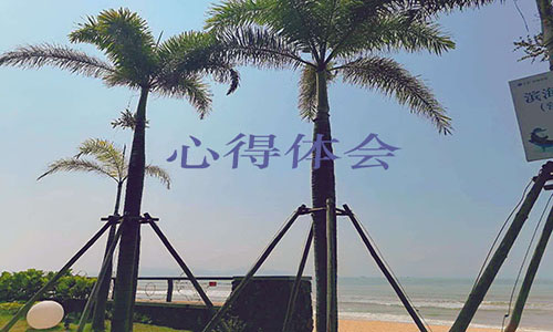 闪亮的名字2020最美基层民警先进事迹心得