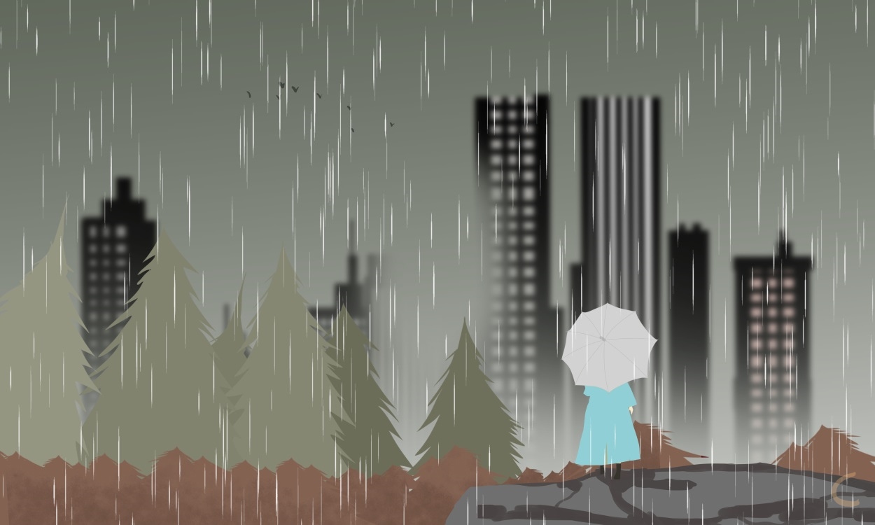 下雨天描写雨的优美文案