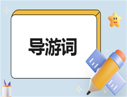 导游总结与反思