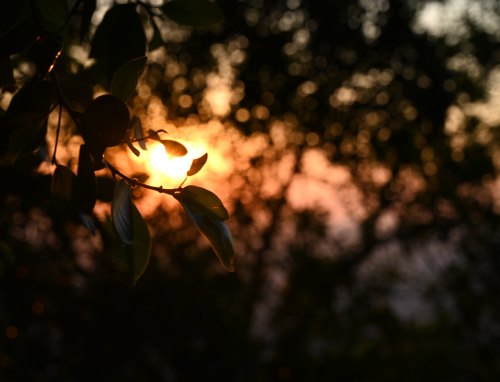 深夜孤独伤感emo文案