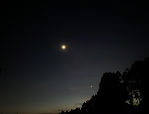 大半夜失眠睡不着简短伤感文案