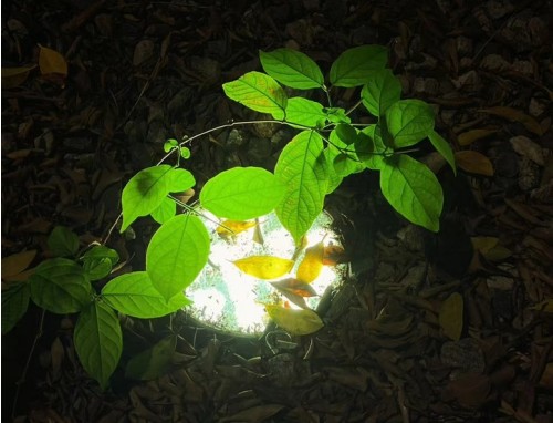 深夜失眠干净治愈文案