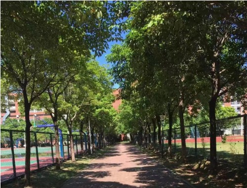 描写夏季高温的经典句子