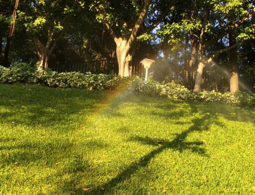 夏天的文案短句朋友圈230句