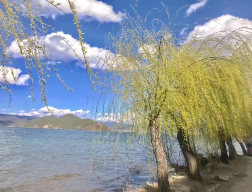 描写高温天气的经典问候语