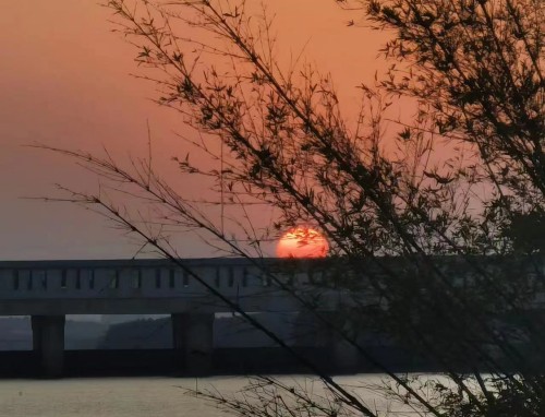 睡前祝福大家晚安的说说