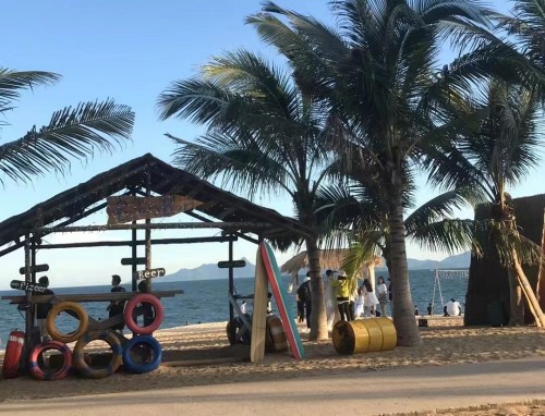 学习共和国勋章钟南山个人先进事迹感想范文