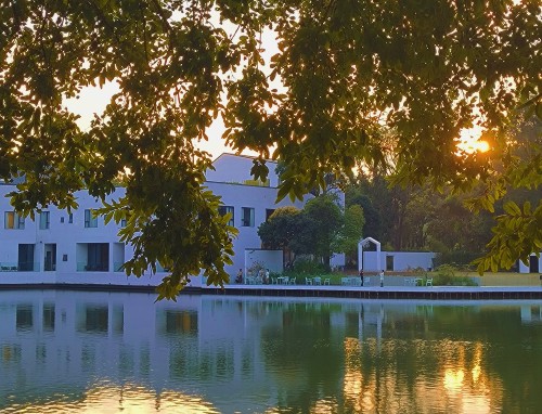 适合早晨发布的治愈早安句子